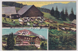 Alp Widenberg Mit Alpenkurhaus Schönhalden Flum - 1915 Gelaufen Ab Flums - Flums