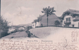 Mont La Ville VD, Champmarron, Rue Animée (4.3.1902) - Mont-la-Ville