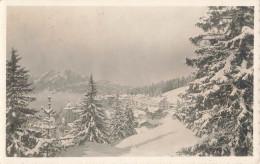 AK Rigi-Kaltbad (ZA3934) - Arth
