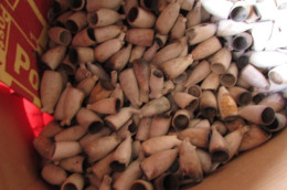 100 18th Century Dutch Clay Pipe Bowls - Sonstige & Ohne Zuordnung