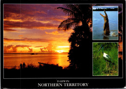 21-9-2024 (77) Australia - NT - - 3 Views - Darwin Sunset & Crocodile + Bird (posted With Bird Stam - No P/m !) - Darwin