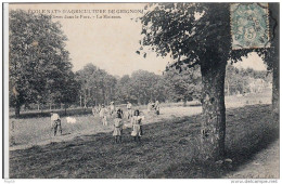 Cpa Ak Pk  2 Scans 78 Yvelines école Nationale D'agriculture De Grignon élèves Dans Le Parc La Moisson - Grignon