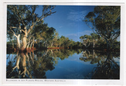 AK 226747 AUSTRALIA - Billabong In Der Pilbara-Region - Autres & Non Classés