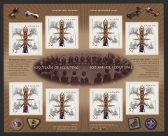 Delcampe - Canada - 2007 Boy Scout Movement Booklet MNH__(FIL-467) - Carnets Complets