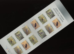Delcampe - Canada - 1999 Native Birds Booklet MNH__(FIL-478) - Carnets Complets