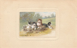 Delcampe - CHATS DANS UN ENCLOS CARTE EMBOSSEE ENVOYEE A CONFLANS SAINTE HONORINE EN 190? - Gatos