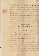Delcampe - Manuscrit - Document De Notaire Acte Notarial Sur Thienen Tirlemont - Manuskripte