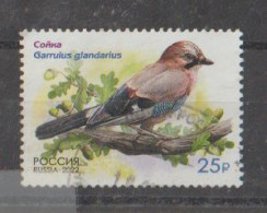 Russia - 2022 - Fauna - Songbird - Used. ( Garrulus Glandarius ) - Oblitérés