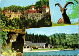 53146 - Steiermark - Herberstein , Tierpark Am Stubenbergsee , Mehrbildkarte - Gelaufen 1980 - Fürstenfeld