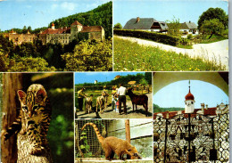 53142 - Steiermark - Herberstein , Tierpark Am Stubenbergsee , Buschenschank Marienhof , Schloß - Gel. 1980 - Fürstenfeld