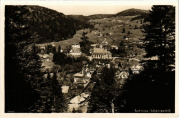 Delcampe - CPA AK Todtmoos - Panorama GERMANY (1030017) - Todtmoos