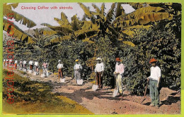 Delcampe - Ah0166 - COSTA RICA  - VINTAGE POSTCARD - Cleaning Coffe With Shovels - Costa Rica