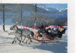 SUISSE - GLARIS - SCHWANDEN TRAINEAU - Schwanden