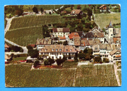 Madd212, Bougy-Villars, Vue D'avion, Pierre Mentha, GF, Circulée 1981 - Bougy-Villars