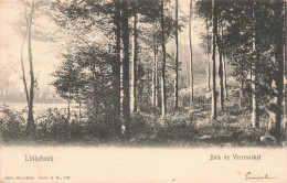 [-5%] BELGIQUE - Linkebeek - Bois De Verrewinkel - Carte Postale Ancienne - Linkebeek