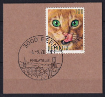 MiNr. 2595 Schweiz       2019, 7. März. Tierfreunde Katze Auf Ausschnitt Sauber Gestempelt BERN Philatelie - Autres & Non Classés