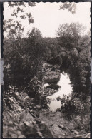 61 - Putanges - Les Roches Et L'orne - Putanges