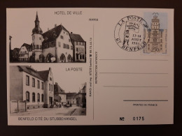 CPSM De Benfeld - Fête Du Stubenhansel - 1993 (09) - Benfeld