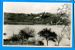 Madd355, Lac De Bret, Lac De Bret, 364, E. Chapallaz, Non Circulée - Puidoux