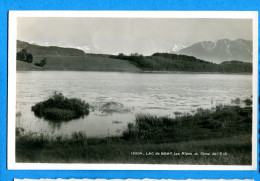 Madd356, Lac De Bret, Lac De Bret, Alpes Et Cime De L'Est, 12504, Chapallaz, Non Circulée - Puidoux