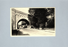 Delcampe - Beauraing : Vue Extérieure Du Lieu Des Apparitions - Beauraing