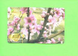 BHUTAN - Remote  Phonecard As Scan - Bhutan