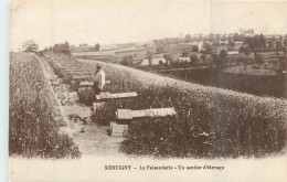 Delcampe - XERTIGNY La Faisanderie - Xertigny