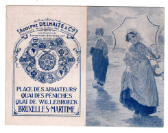 28635 " CALENDARIO 1917-ADOLPHE DELHAIZE& Cie-BRUXELLES " Cm. 9 X 6 CIRCA(CHIUSO) - Formato Piccolo : 1901-20