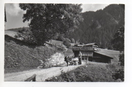 HABKERN Schwendi - Mann Mit Esel-Fuhrwerk - Habkern