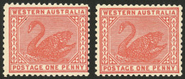 AUSTRALIA: Sc.90, 1905/12 1p. With "Crown - A" Wmk, 2 Examples In Different Shades, MNH, Excellent!" - Other & Unclassified
