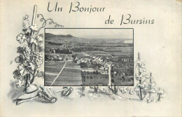 Switzerland Bonjour De Bursins Souvenir - Bursins