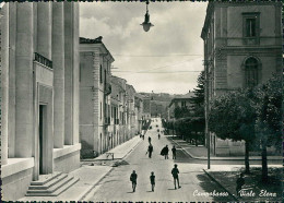 Delcampe - CAMPOBASSO - VIALE ELENA - EDIZIONE GIANNANTONIO - SPEDITA 1953 (21499) - Campobasso