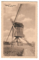 Herselt   De Molen  Le Moulin - Herselt