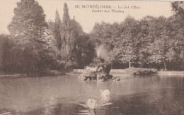 Delcampe - MONTELIMAR - Montelimar