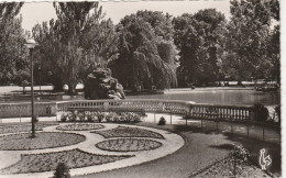 Delcampe - MONTELIMAR - Montelimar