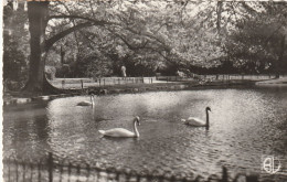 Delcampe - MONTELIMAR - Montelimar