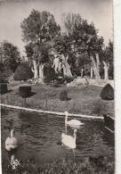 Delcampe - MONTELIMAR - Montelimar