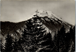 53542 - Niederösterreich - Gösing , An Der Mariazellerbahn - Gelaufen 1962 - Scheibbs