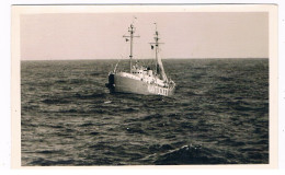 Delcampe - SCH-1826  M/V  NANTUCKET - Handel