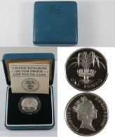 REGNO UNITO 1 POUND 1985 PROOF IN ARGENTO - Maundy Sets & Commémoratives