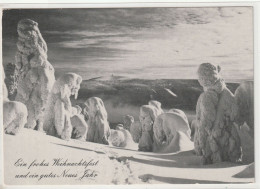 Weihnachten & Neujahr, Sudetenwinter Im Altvatergebirge - Andere & Zonder Classificatie