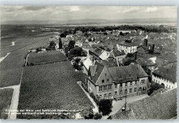 50779073 - Hochheim Am Main - Hochheim A. Main