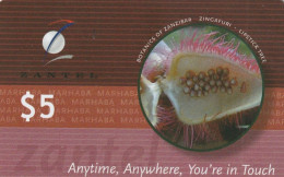 PREPAID PHONE CARD TANZANIA ZANZIBAR (CZ6087 - Tanzania