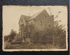 BLAUBERG / VILLA "LES SAPINS" / Pr. DELOGIE / Tel. 19 (ZICHEM) - Herselt