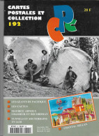CARTES POSTALES ET COLLECTION : LES GEANTS DU PACIFIQUE,LES CACTUS,TUNNELS ET SOUTERRAINS EN 14/18.... - Francese