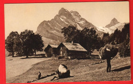 VBS-40  Braunwald Ortstock Und Hoher Turm. BELEBT Frey Serie 362 Nr 1.  NG - Braunwald