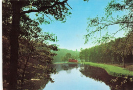 Delcampe - BELGIQUE - Chevetogne - Domaine Provincial "Valery Cousin" - Carte Postale - Ciney