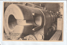 CPA :  14 X 9  -  Pièce Du Leugenboom à Moere - Gistel