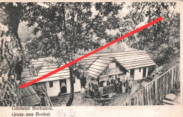 Delcampe - AK Borkut Borkutrol Burkut Буркут Gasthof Restaurant A Jawirnyk Явірник Selene Зелене Ukraine Ukraina Ukrajina Україна - Ukraine