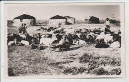 TURCOMA - TURKMENISTAN - CARTE PHOTO - Turkmenistan